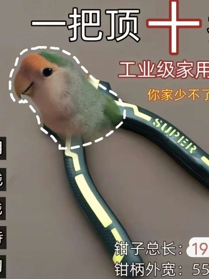 owo