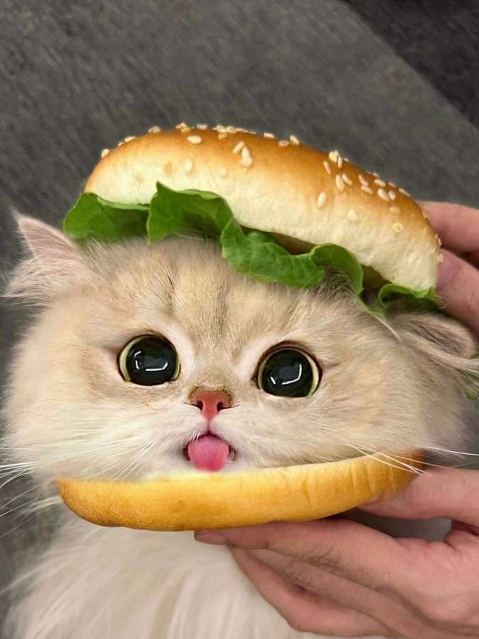 半梦半醒只为她