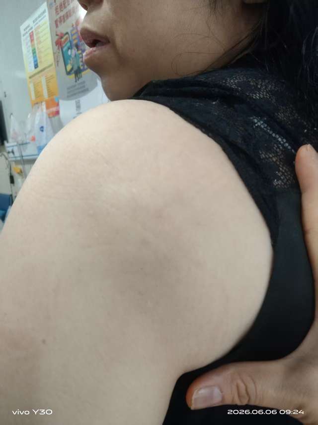 凡莺