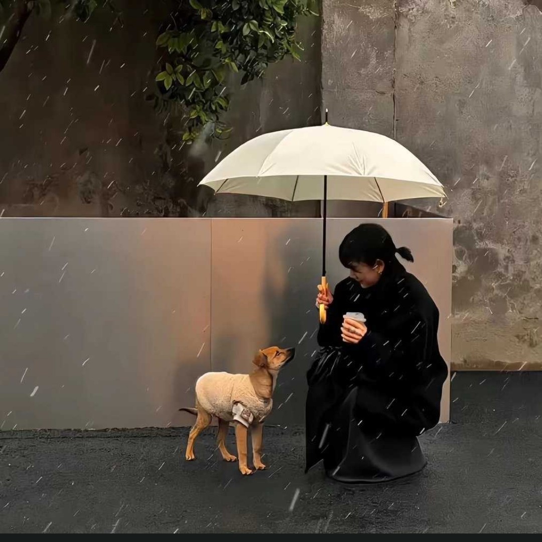 眺望暖阳