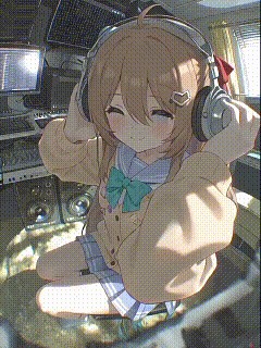 狸花猫